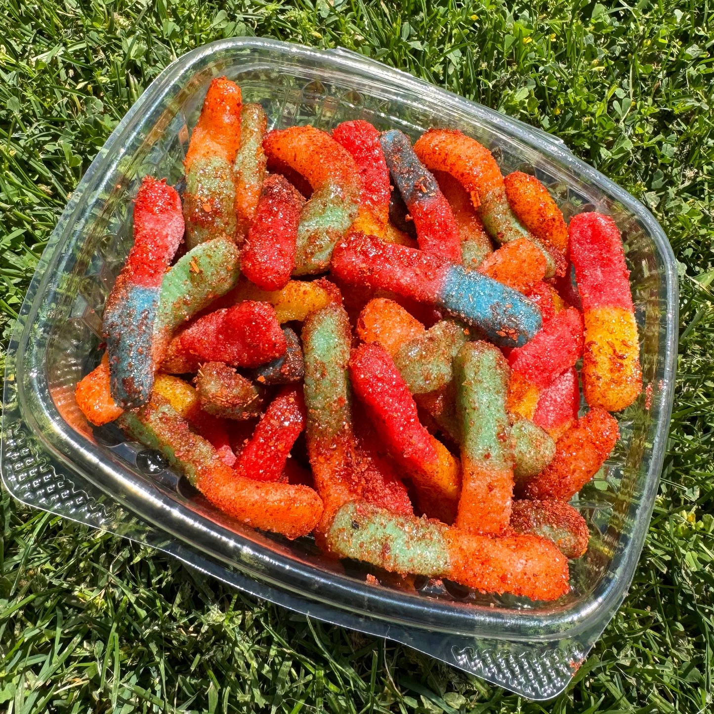 Gummy Worms